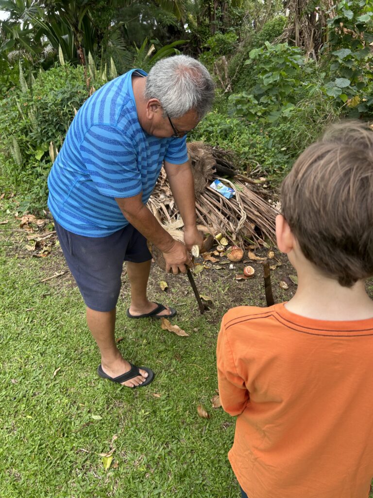 Vigo peeling a coconut with a bit of rebar.